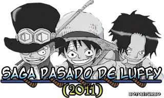 One Piece - Saga Pasado de Luffy