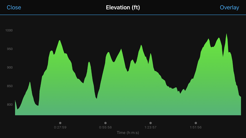 Hospital Hill Half Marathon Review Scribble & Dash