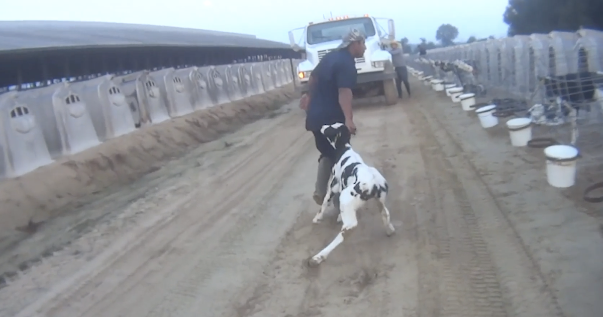 Time to Boycott CocaCola Corp Fair Oaks Farms who produces FairLife