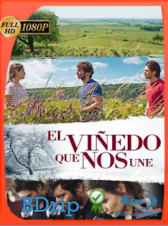 El Viñedo que Nos Une (2017) BDRIP 1080p Latino [GoogleDrive] lachapelHD