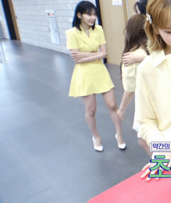 은비랑 나코