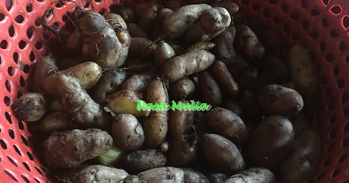 warna warni hidupku..............: Ubi Kemili Atau Ubi Keling