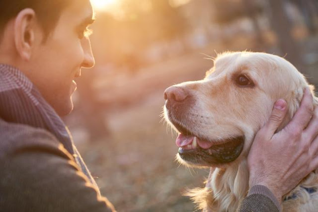 La amistad entre perro y hombre-TuParadaDigital