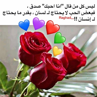 صور ورد, خلفيات ورد, صور ورود, اجمل ورد