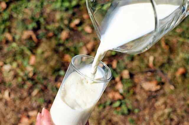 Should we drink milk during typhoid?- DISEASECARES (disease care) 