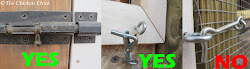 chicken coop raccoon locks predator proof lock barrel door open simple doors chickens raccoons steps backyardchickens spring essentials secure box