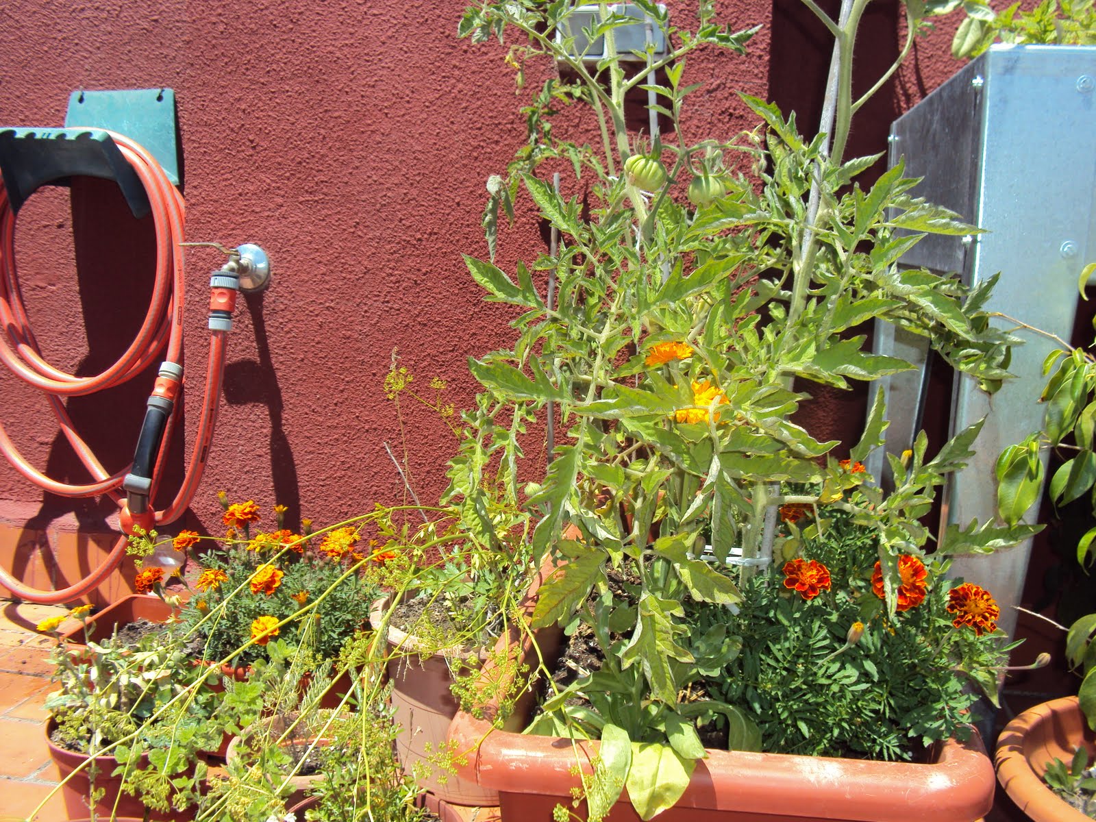 Huerto ecológico en la terraza o balcón de casa: Una Jardinera Singular