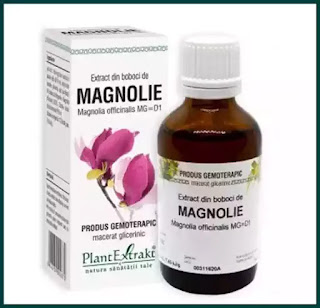 pareri extract de boboci de magnolie forum gemoterapie