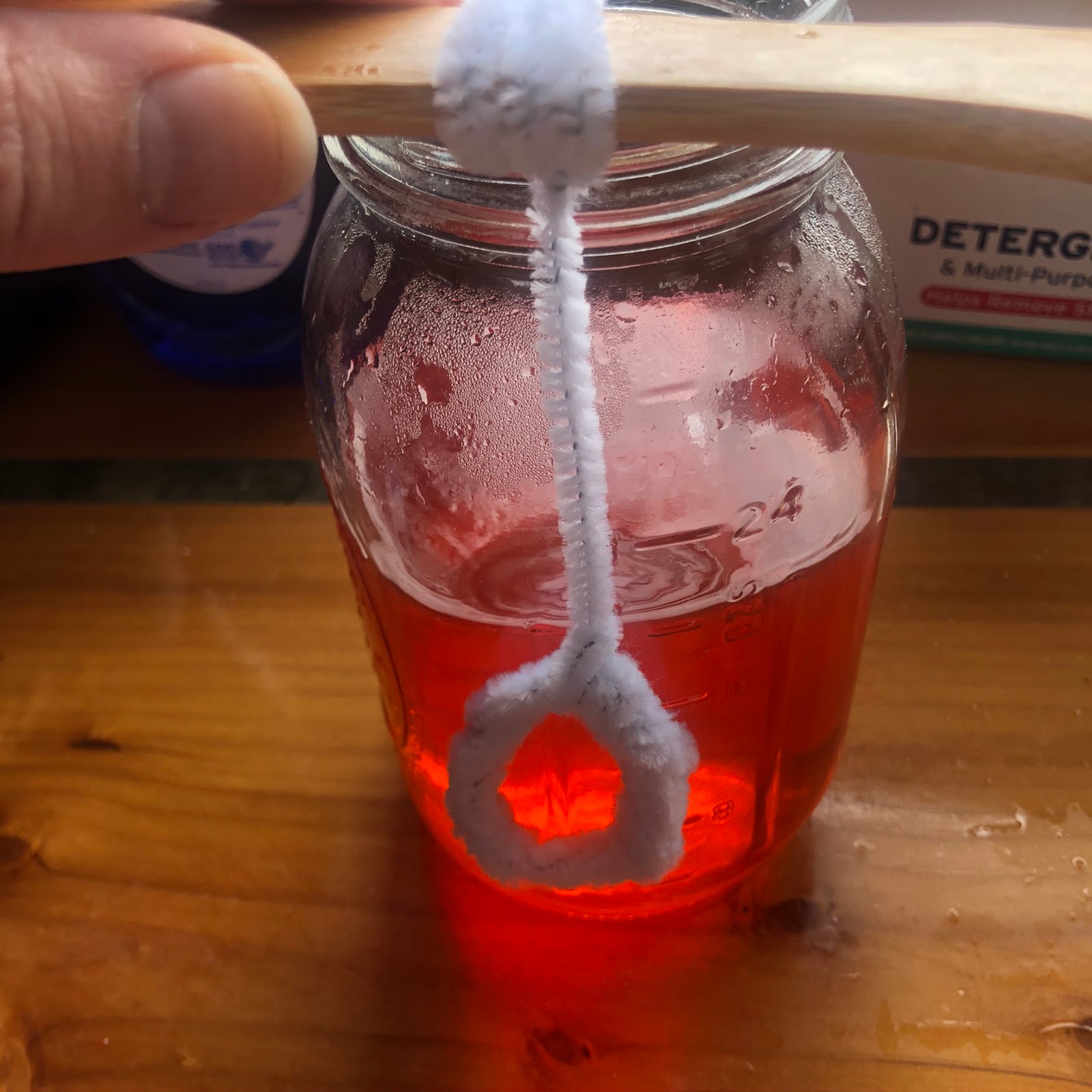 Easy Borax Crystals From Start to Finish * Science experiments