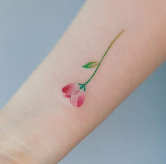 Mini tatuagens femininas Mini tatuagens femininas