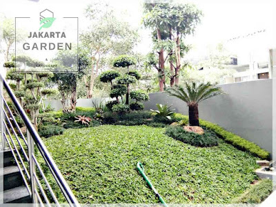 Jasa Tukang Taman Jakarta Utara
