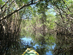 ...na canoa no rio Sagi...