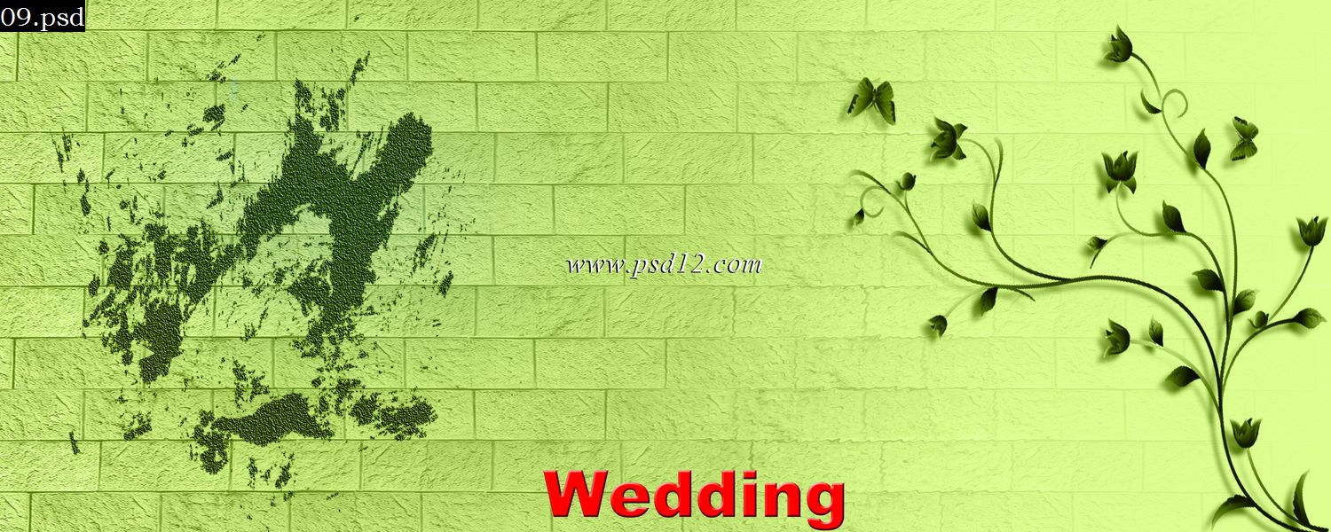 Indian Wedding Album Templates - Karizma Album