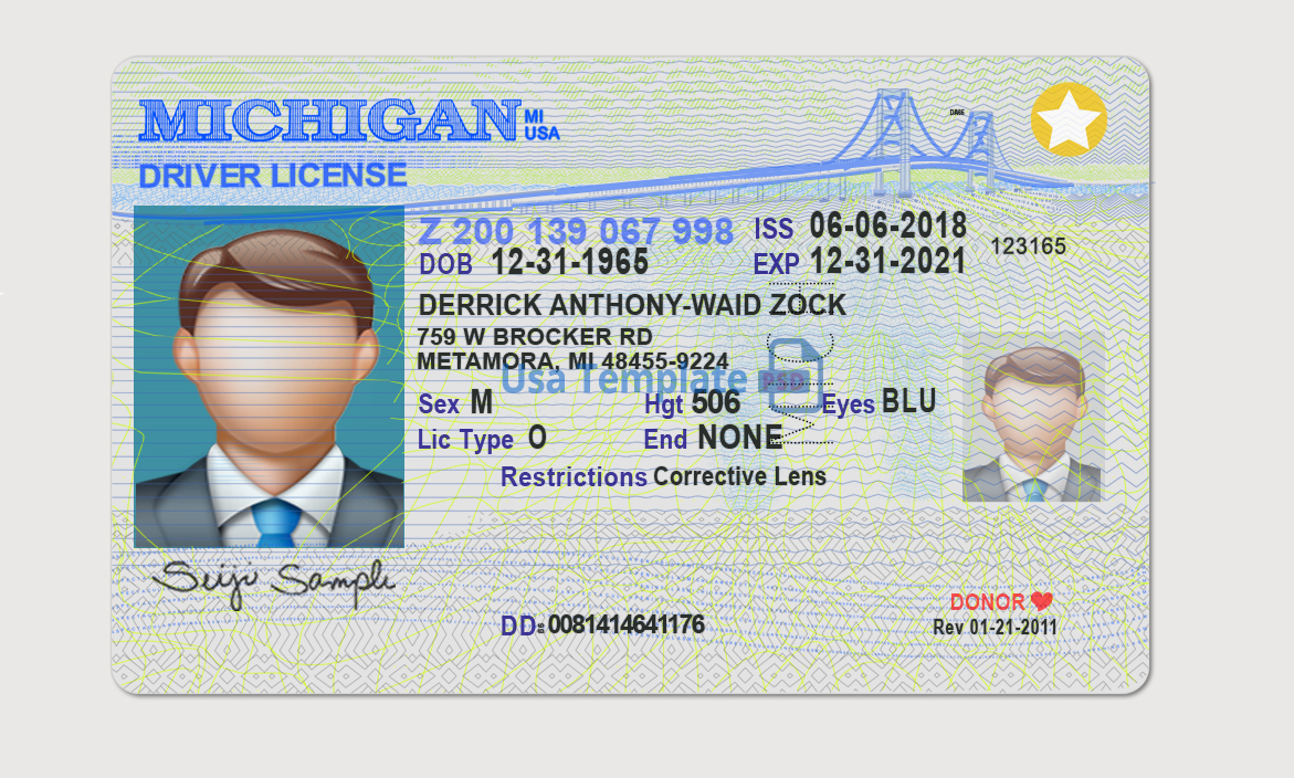 Michigan Driving License Template Online Verification 100 Original
