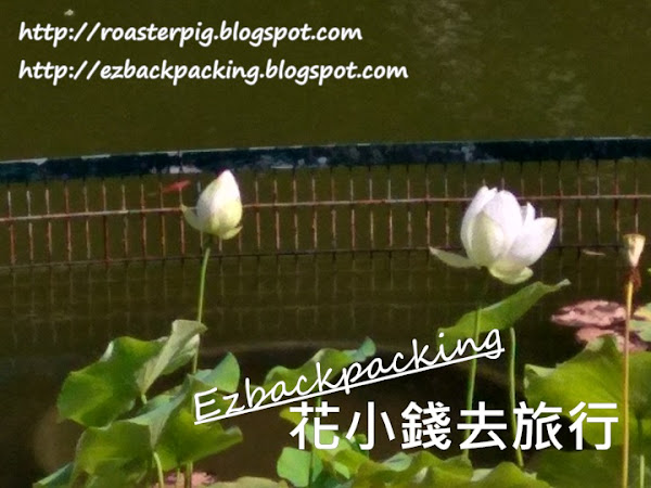 粉嶺賞花:康樂公園荷花+公園6月19日開花情報