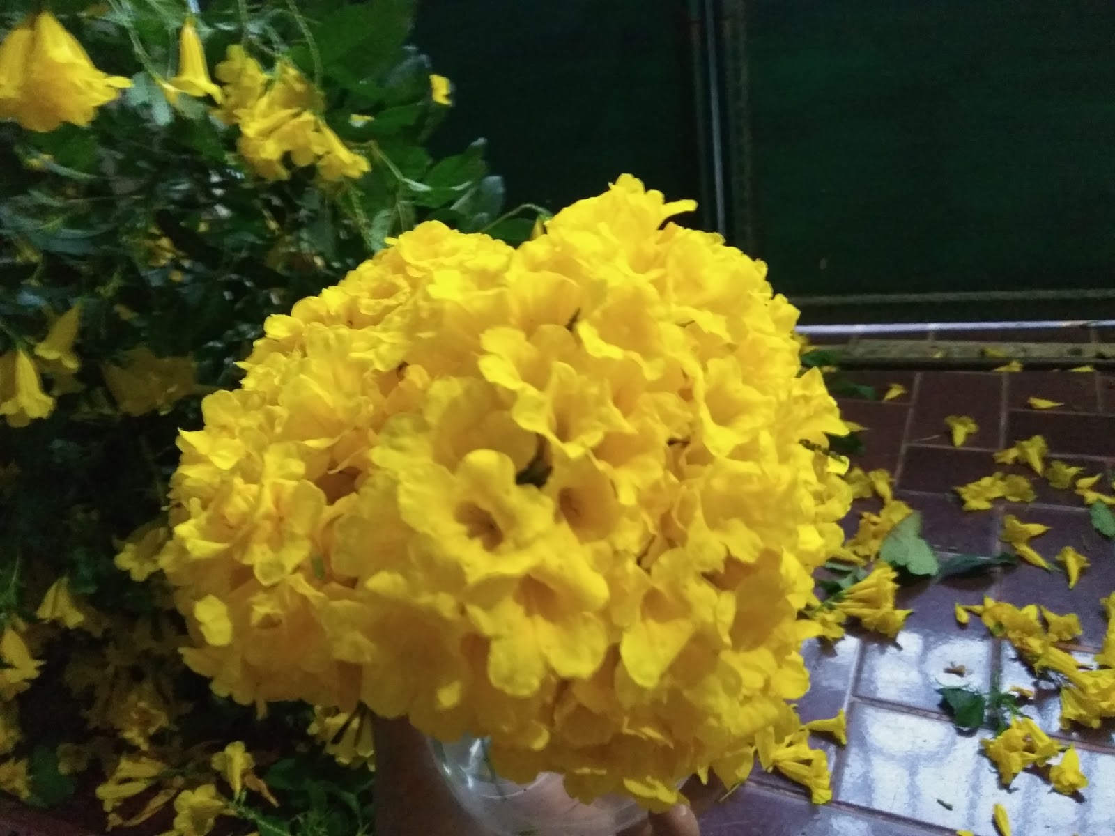 Bunga Kuning Dalam Gantungan