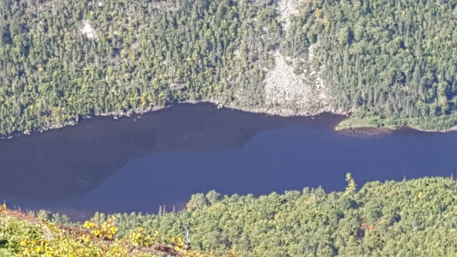 Vue à partir du sommet du mont des Érables (Acropole des Draveurs)