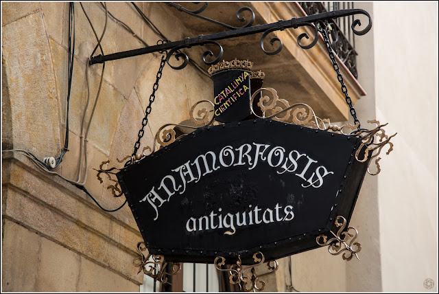 Barcelona: Barrio Gótico - Antigüedades | Catalunya Científica | Anamorfosis
