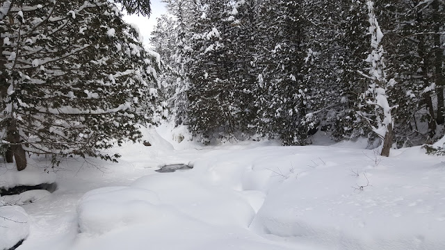 Sentier pour les Chutes-à-Bull