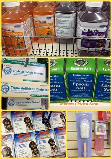dollar tree hamster supplies