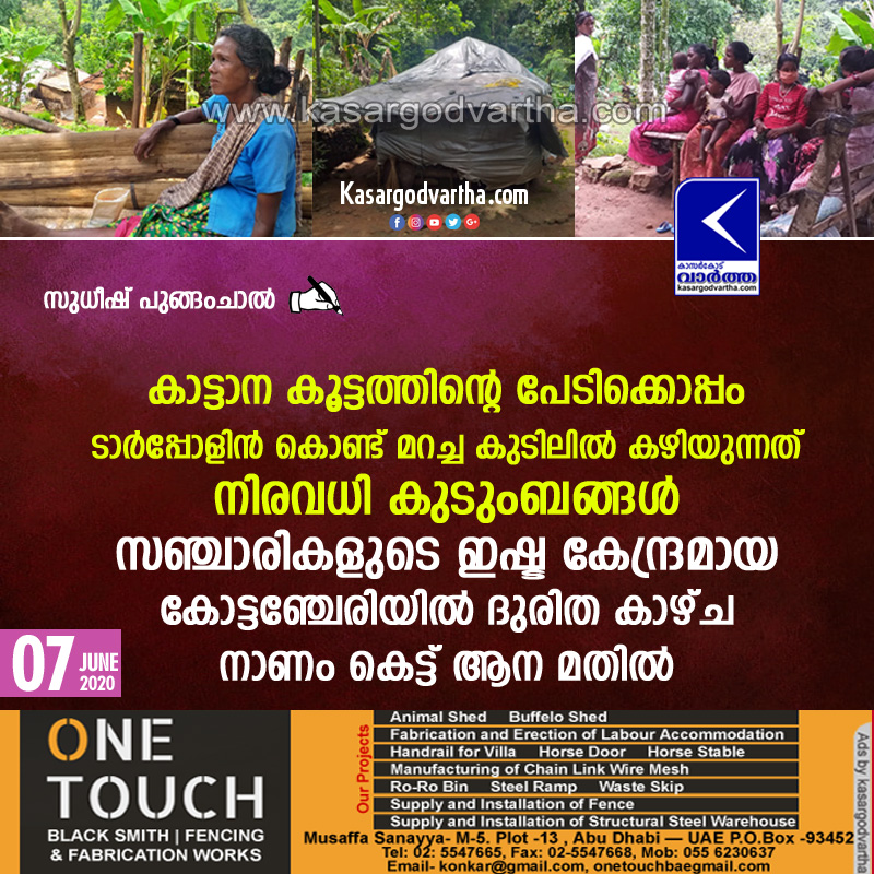 Kasaragod, Vellarikundu, Kerala, News, Kottacheri, Sad sight from Kottancheri