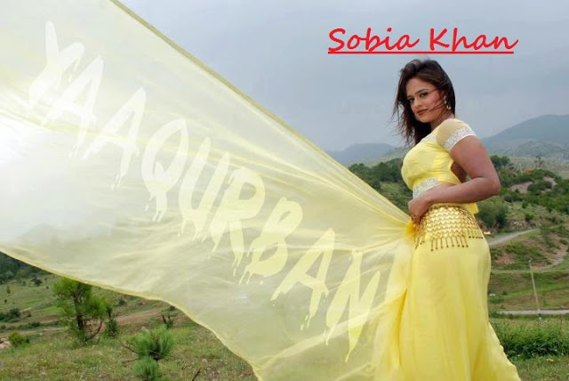 Pakistani Sexy Actress Pashto Top Actress Sobia Khan Latest Picture