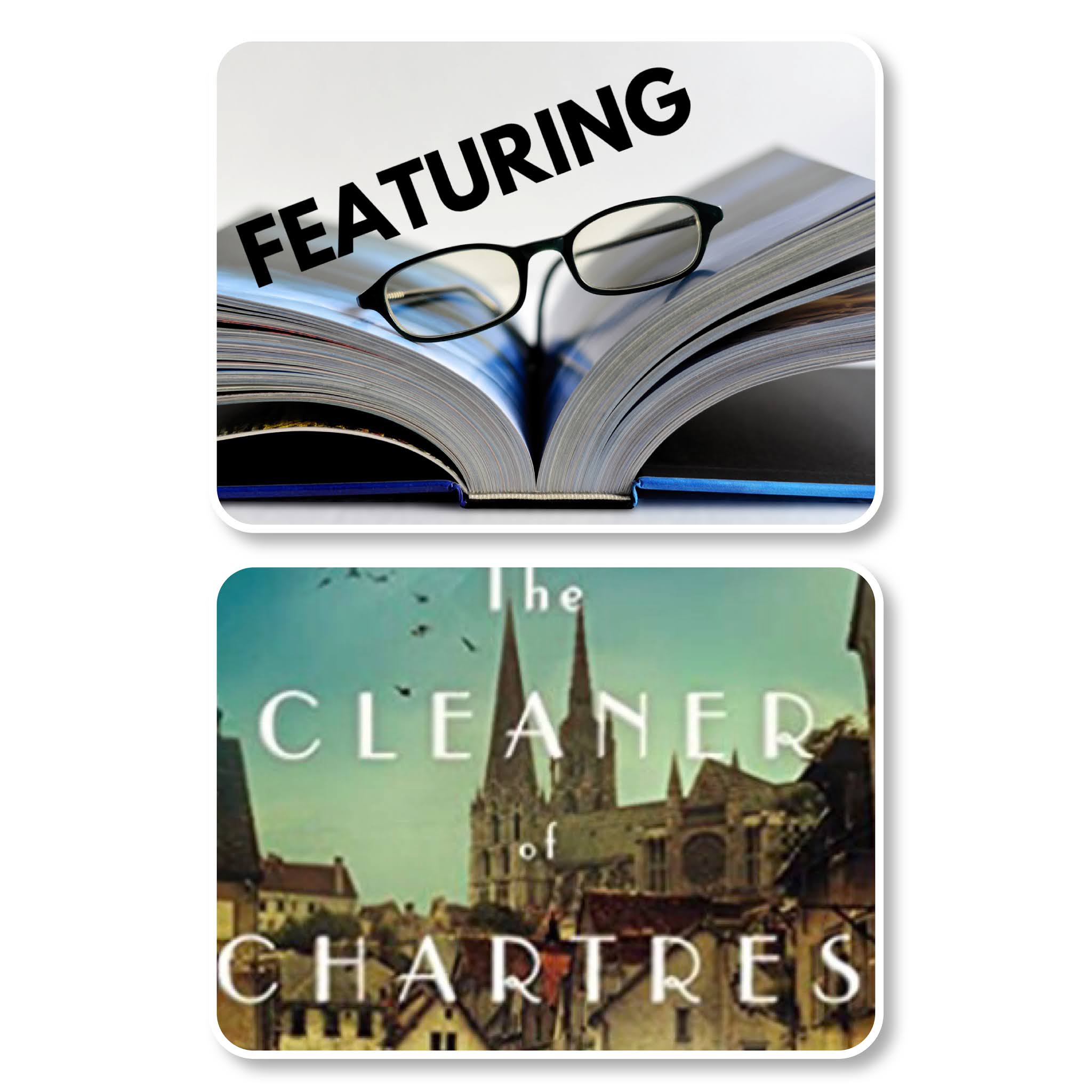Silver's Reviews FEATURING The Cleaner of Chartres by Salley Vickers
