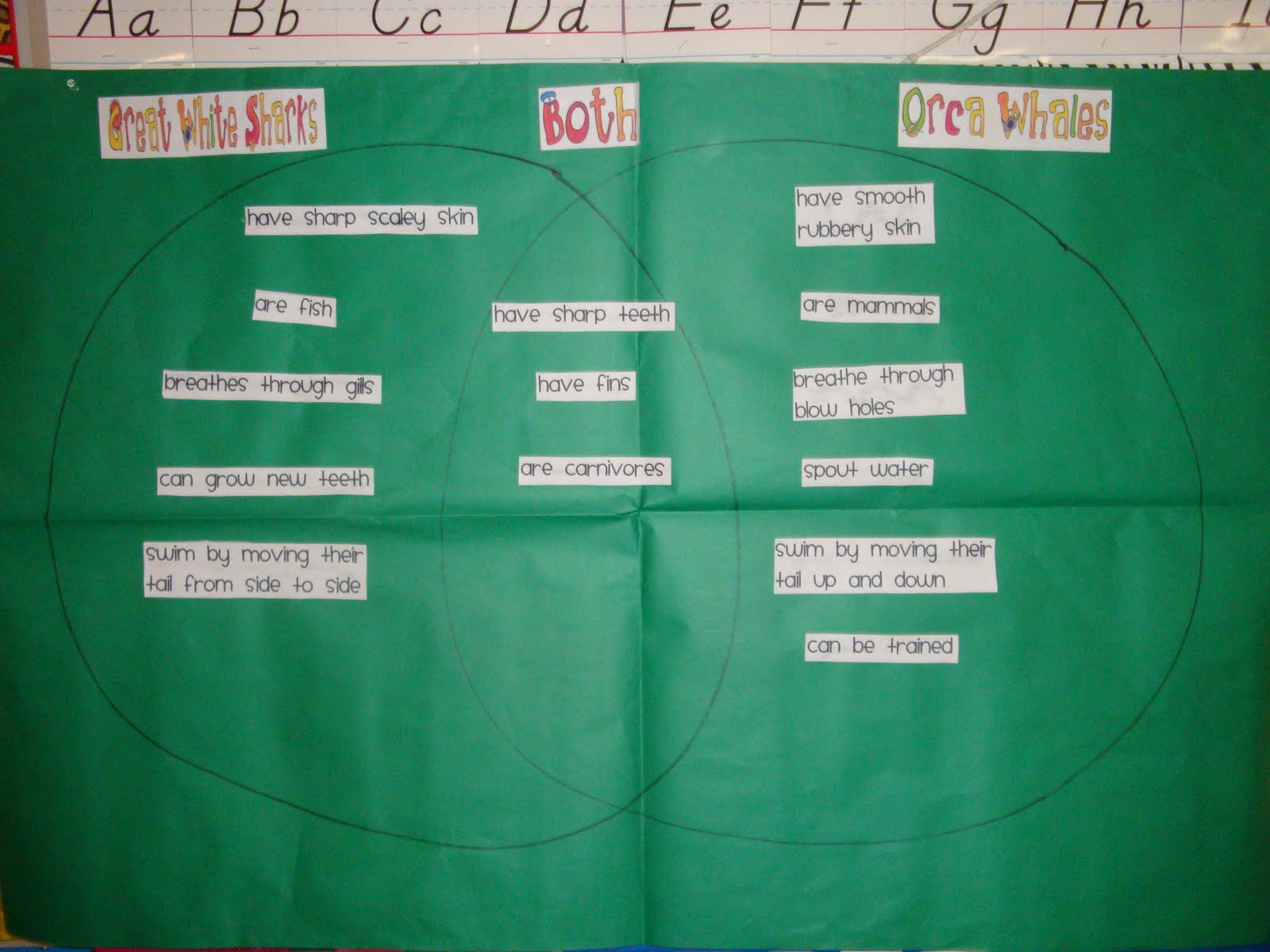 Learning Adventures: Oceans of Fun!