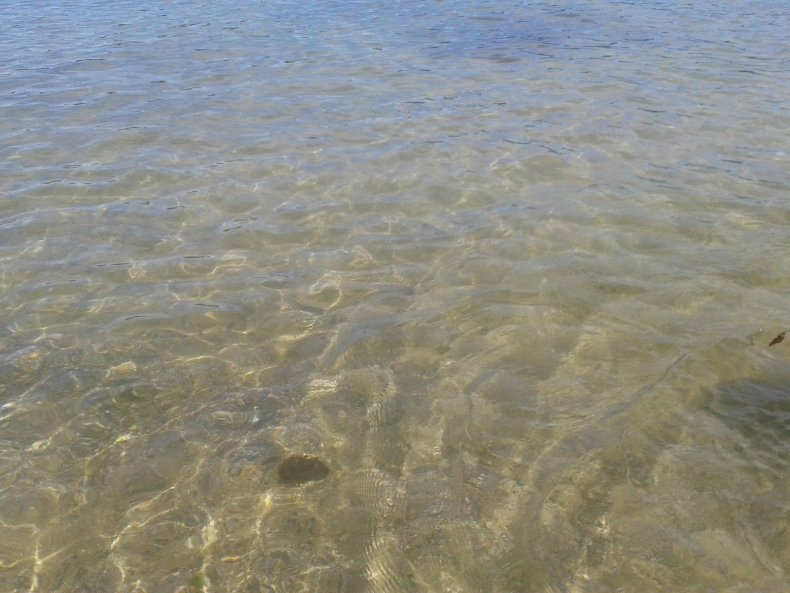 UNA DE LAS MEJORES PLAYAS DE CORUÑA BLOGOMONICA