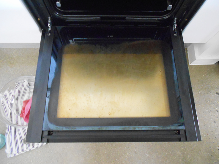 Cleaning the oven with bicarb soda does it work? Zero waste and