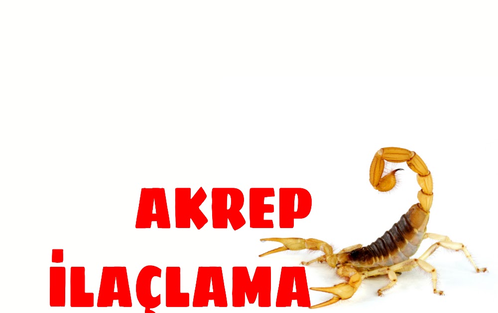 DETAY HAŞERE VE BÖCEK İLAÇLAMA