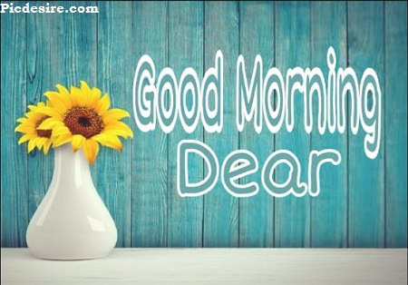 Good Morning Dear | 30 Good Morning My Dear Images Good Morning Dear | 30 Good Morning My Dear Images