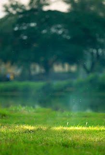 100 Cb Background Hd 2020 Free Stock Download Now