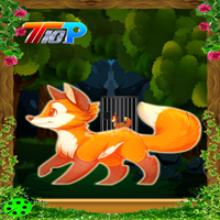 Top10NewGames Rescue The Fox