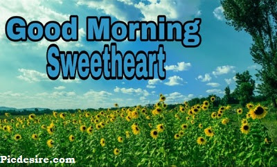 Good Morning Sweetheart, Best 20 Images of Good morning Sweetheart Good Morning Sweetheart, Best 20 Images of Good morning Sweetheart