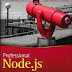 Professional Node.js Building Javascript Based Scalable Software pdf download