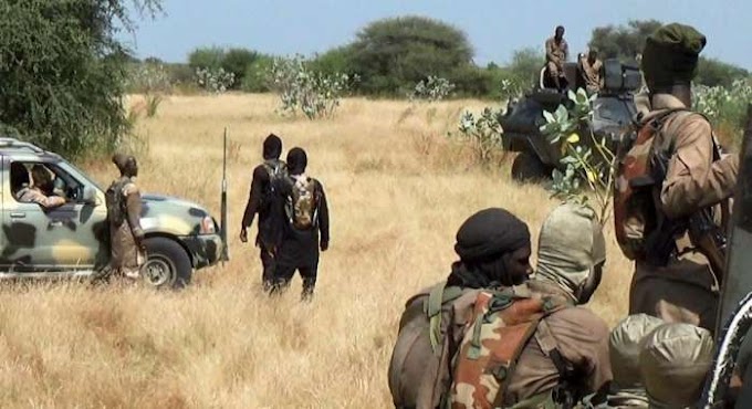 Three soldiers killed by ISWAP in Borno