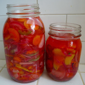 carrot jalapeno red onion and radish pickles