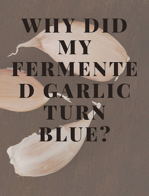 Why did my fermented garlic turn blue