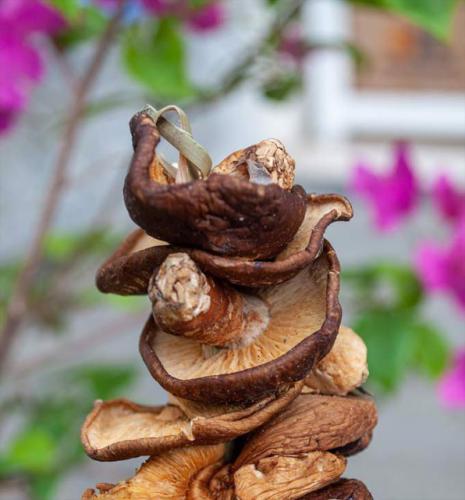 Nấm Hương Rừng Điện Biên (250g) 16 4e8593ca 86d9 44f0 9f9b a95d0bc5bf88