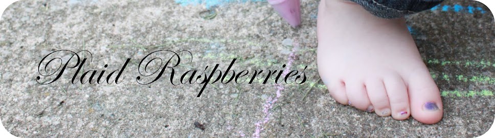 plaid raspberries
