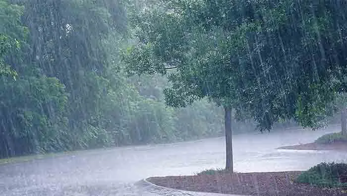 Heavy rainfall to abate in state; Orange alert in Idukki, Thiruvananthapuram, News, Rain, Idukki, Warning, Kerala