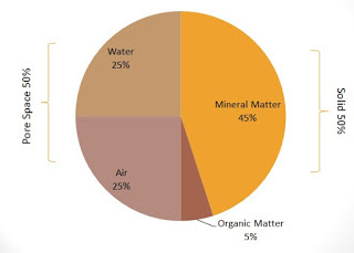 Composition Profile Properties and Classification of Soil in India