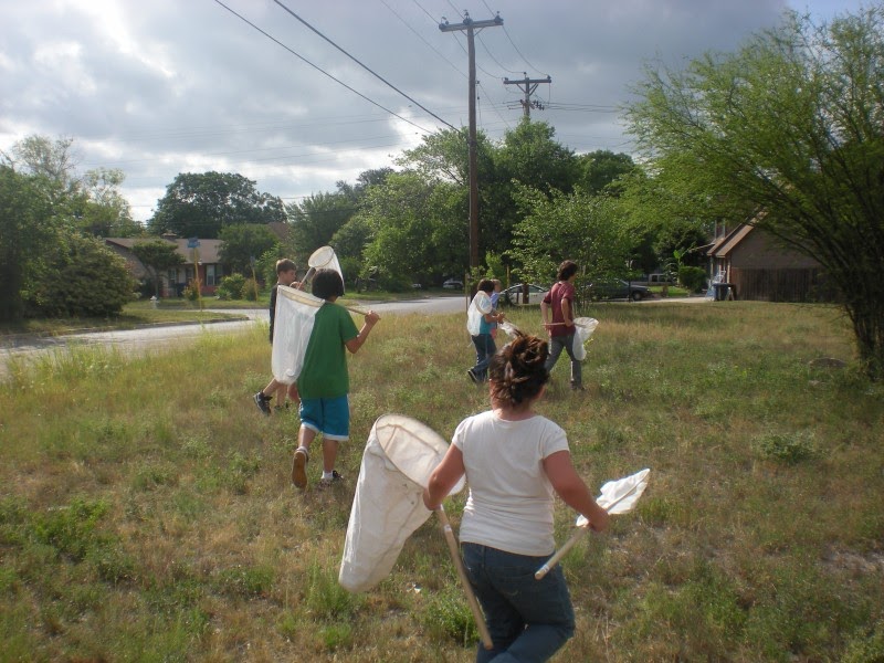 Bexar County Entomology Entomology Camp Going Virtual