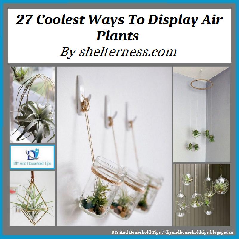 DIY And Household Tips 27 Coolest Ways To Display Air Plants