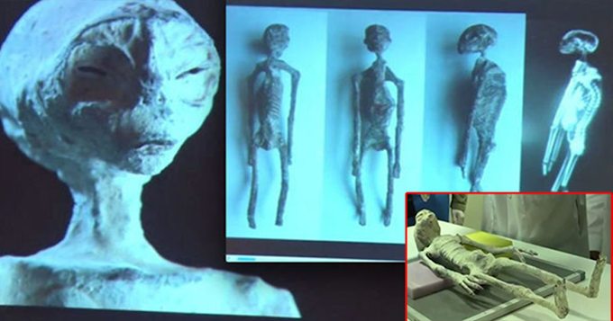 This Ancient Mummy’s DNA is Only 30 Percents Similar to the Human Being, But 70 Percents is Non-human   