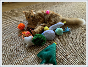 Fudge's Got All The Toys  ©BionicBasil® The Pet Parade 368