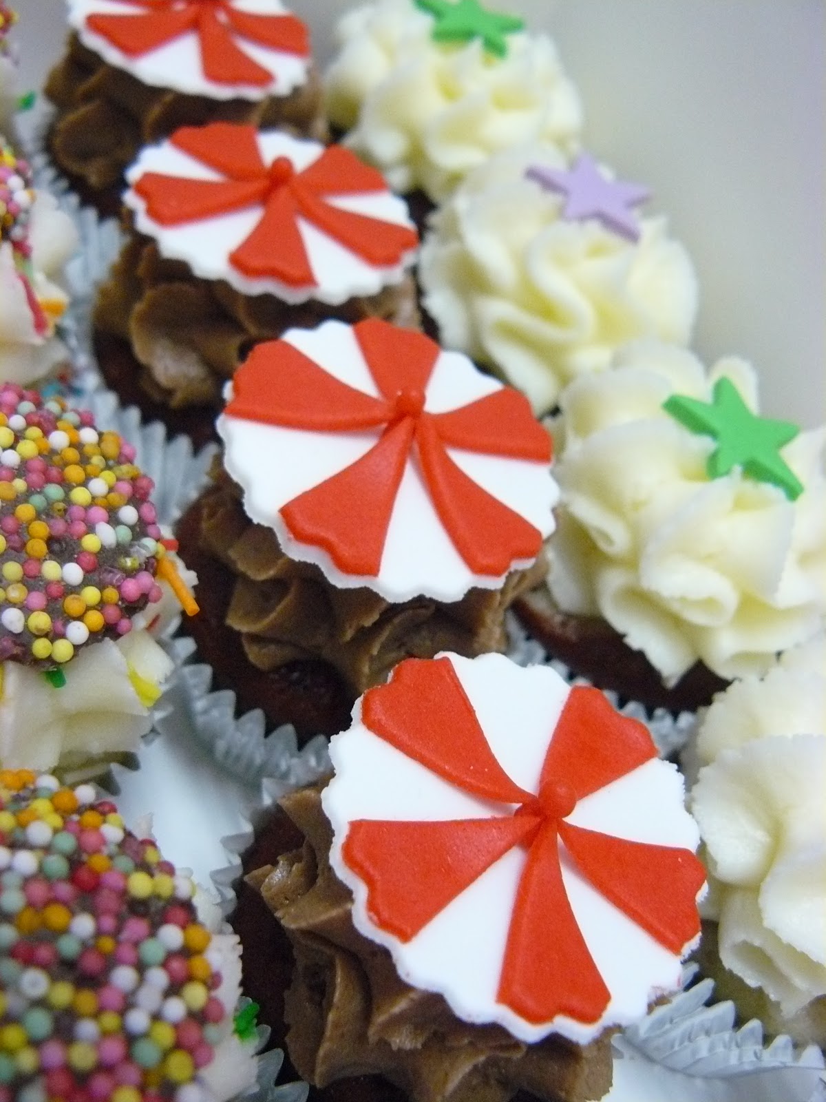 The Cup Cake Taste Brisbane Cupcakes Circus Cupcakes