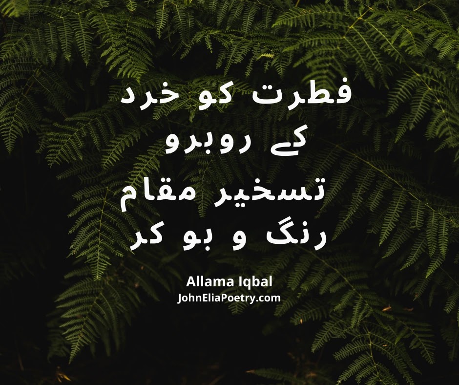 فطرت کو خرد کے روبرو فطرت کو خرد کے روبرو
