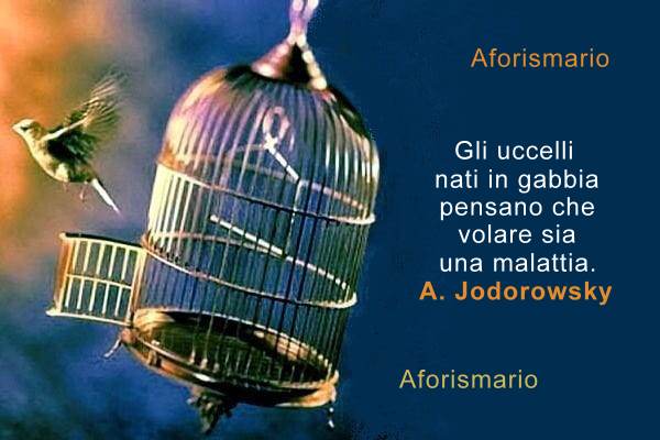 Aforismi, frasi e proverbi sulla Gabbia Aforismario
